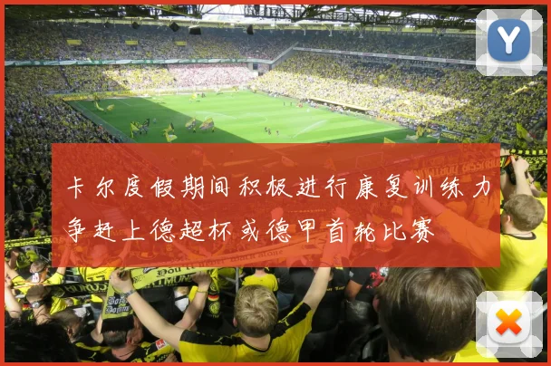 卡尔度假期间积极进行康复训练力争赶上德超杯或德甲首轮比赛